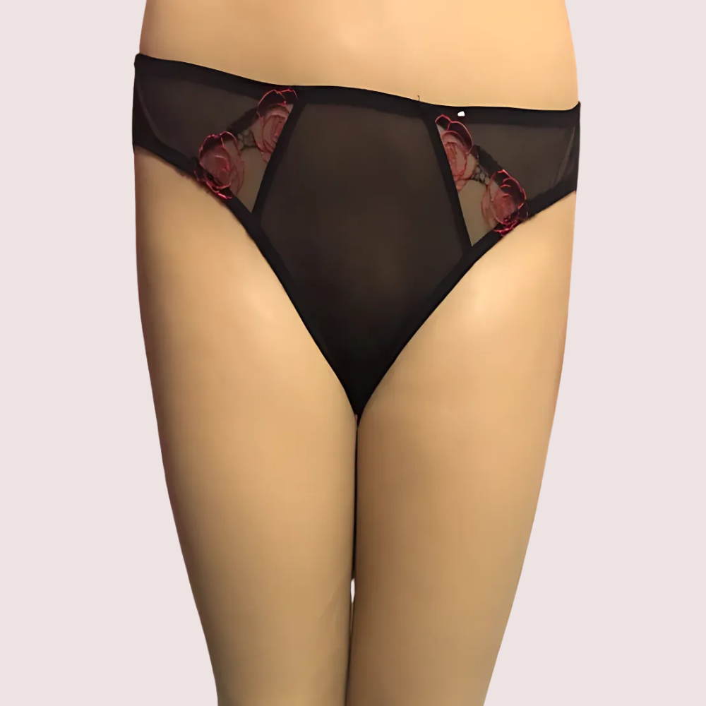 netted-sexy-keyhole-back-hipster-panty