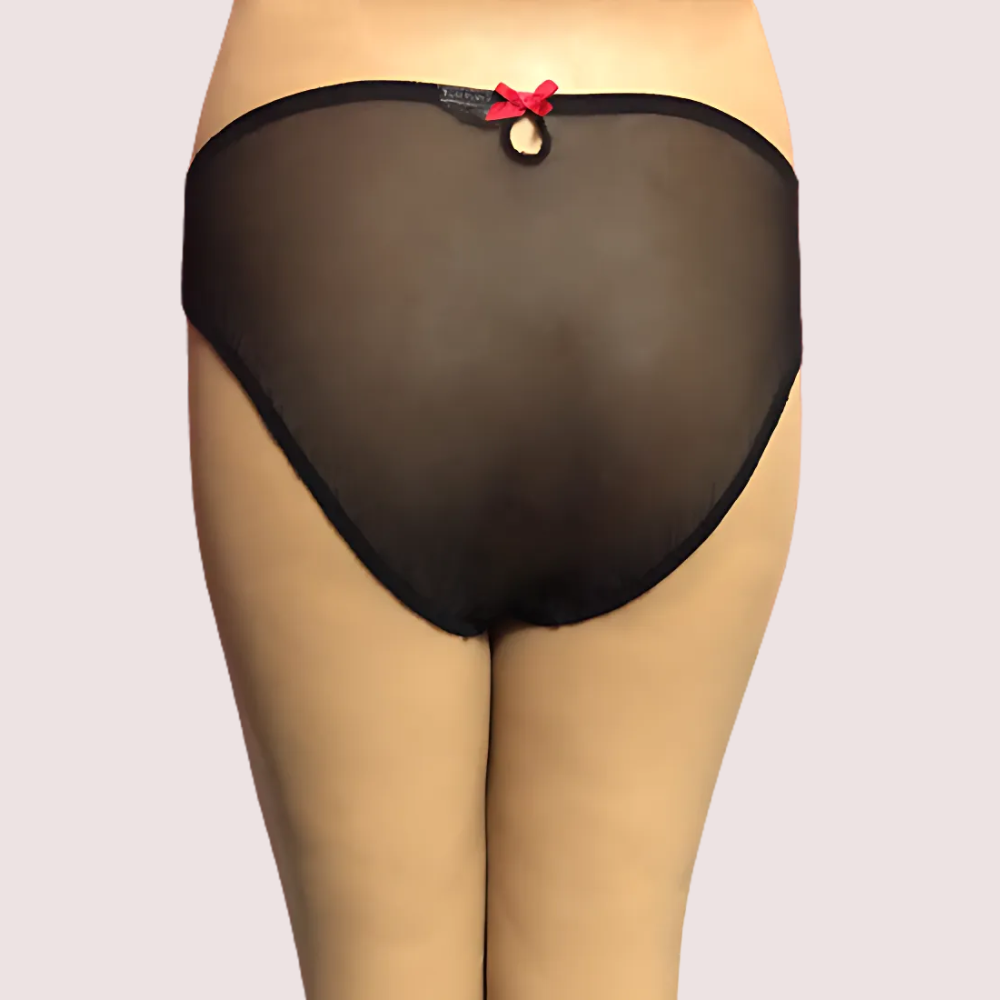 netted-sexy-keyhole-back-hipster-panty