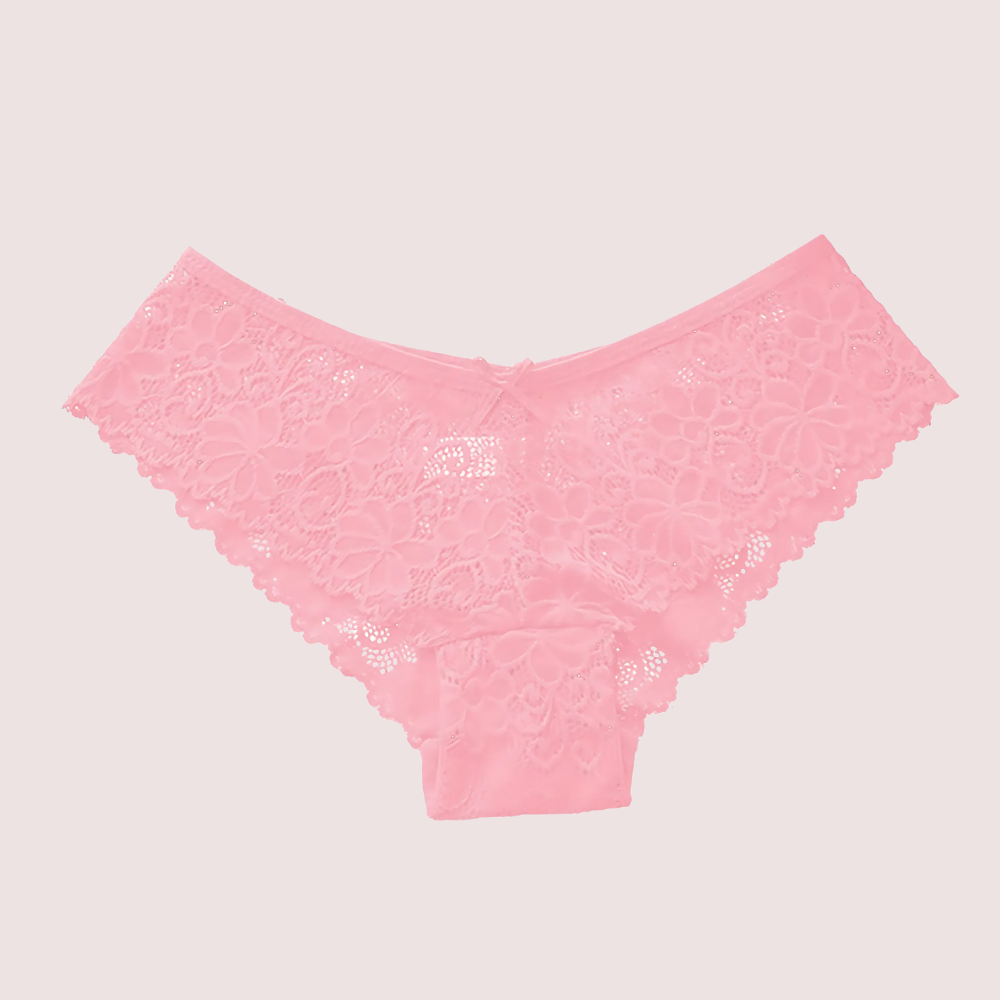 ladies-hipster-brief-floral-lace-undies